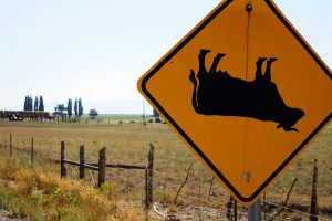 cow tipping sign